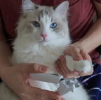 PawTrim™ 2-i-1 pleieverktøy