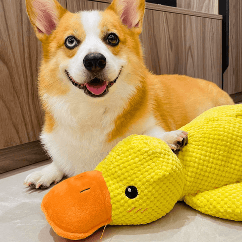 HappyDuck™ – Anti-stress kosedyr